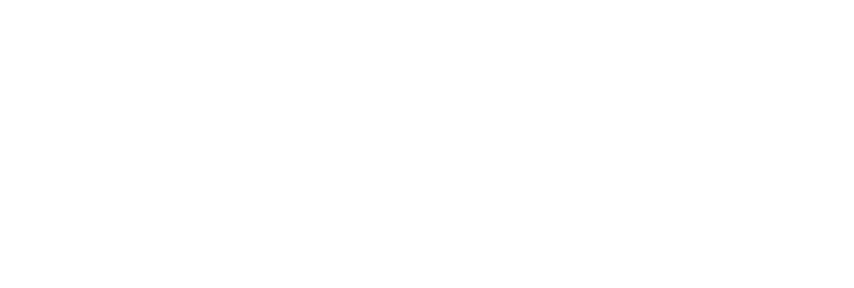 Chinioti Furniture by Alvi’s